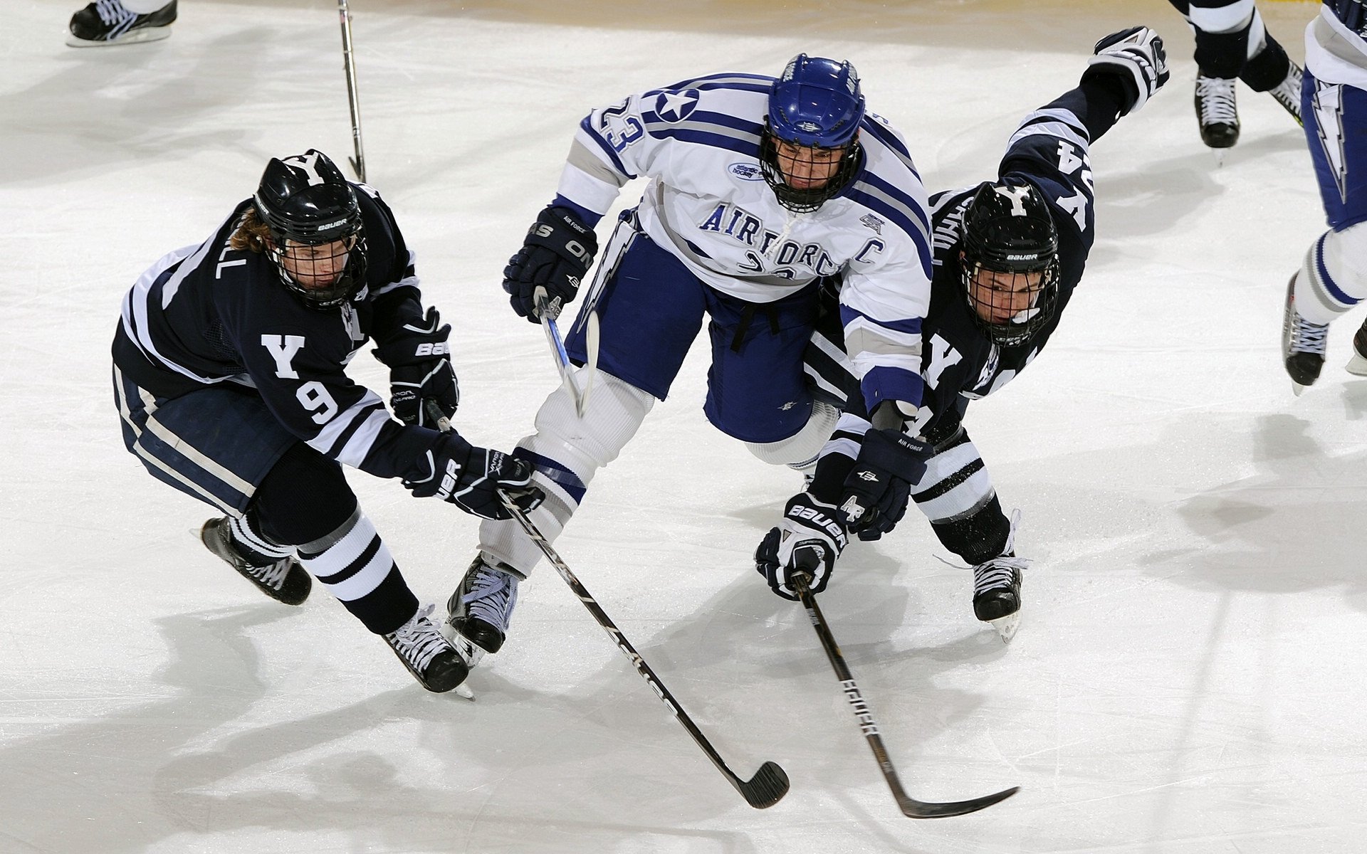 开云体育下载-“未来之星”青少年青训创新联盟在上海正式成立,助推行业高质量发展